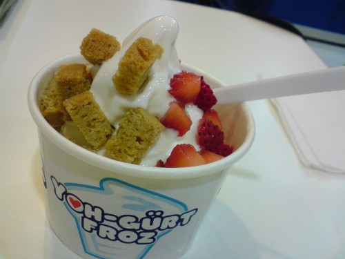 Yoh-gurt Froz