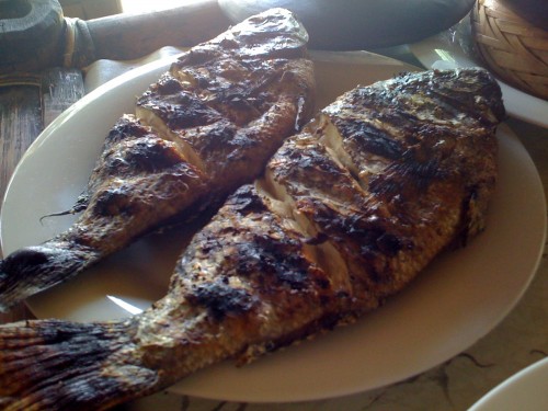 Inihaw na Tilapia